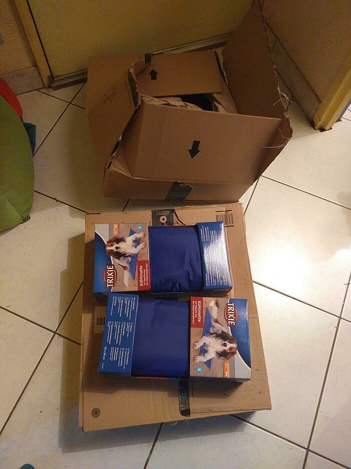 Extremely large shipping box used to deliver two small dog cooling mats, illustrating bad packaging fails.