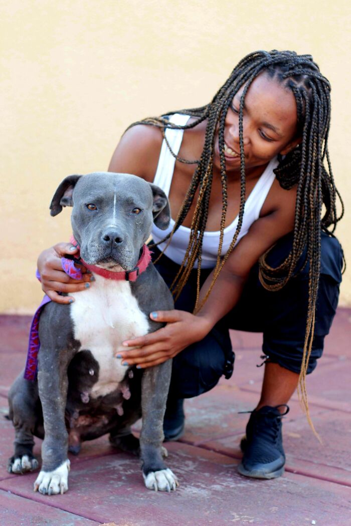 'Hunger Games' Star Josh Hutcherson Shares His Heartwarming Rescue Story to Inspire Dog Adoptions