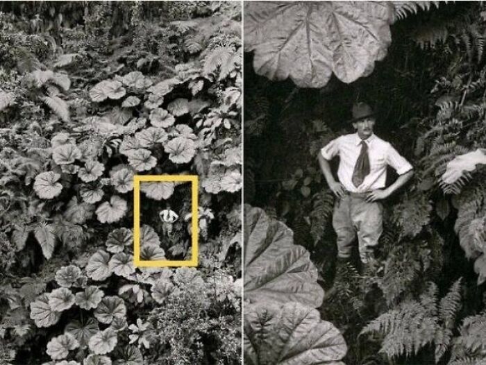 A man standing among giant plants in a jungle, highlighting surprising facts about the past.
