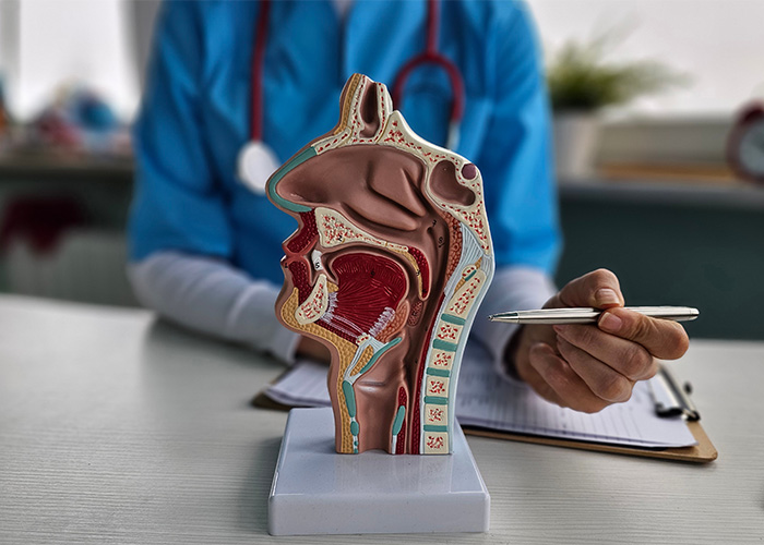 “Is Picking Your Nose Actually Bad For You? Human Anatomy Reveals A Surprisingly Nuanced Answer