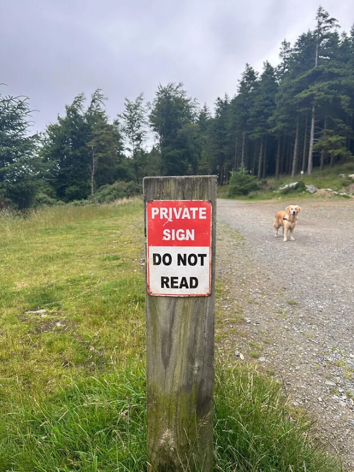 A red and white private sign with a humorous message on a wooden post