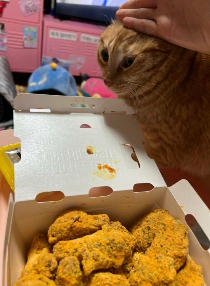 He Cannot Be Stopped.. 🤣