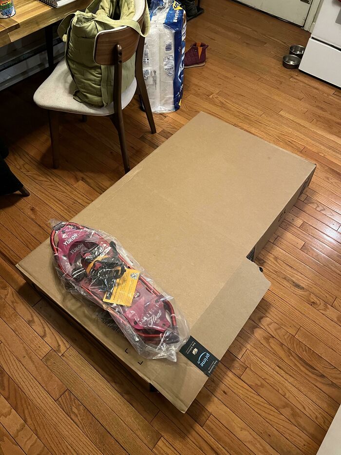 Pair of snowshoes sitting on top of an unnecessarily giant cardboard box demonstrating bad packaging fails.