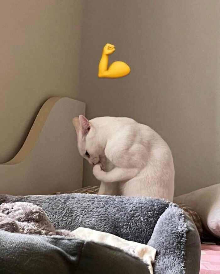 Look At My Muscle.. 💪