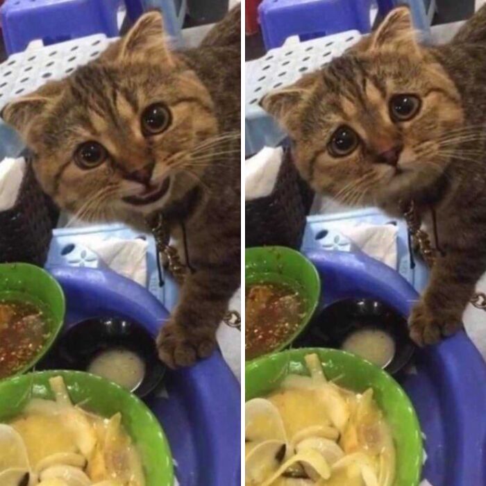 Can I Have Some.. No, You Can't.. 😭