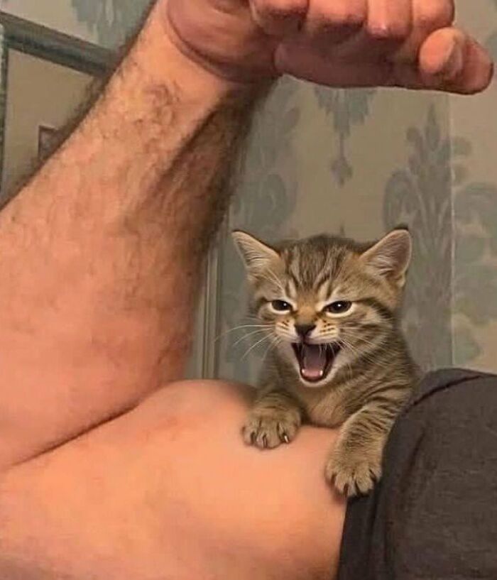 Aaaaaaaaaaaaa.. 🤣