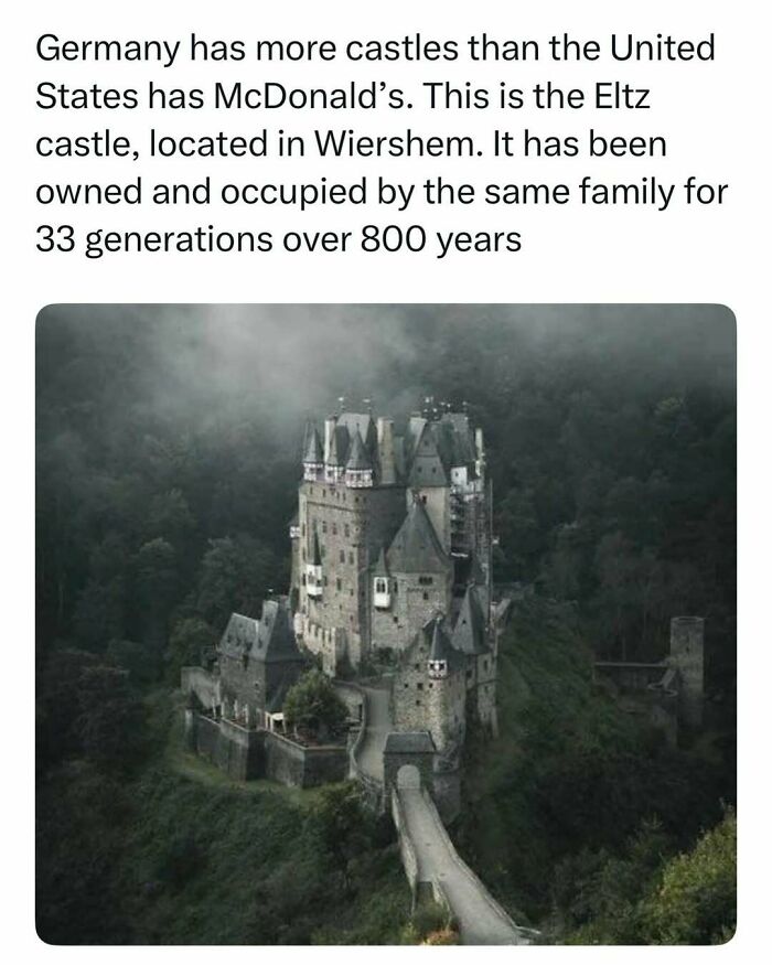 Eltz Castle in Germany surrounded by misty trees, a random find from the internet.