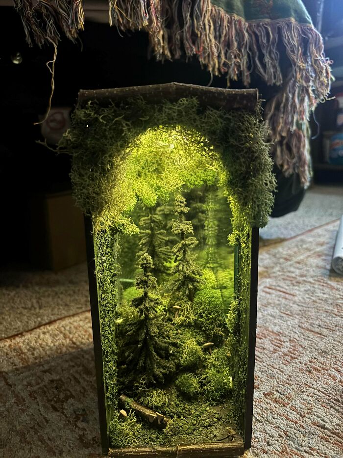 Warmly lit forest scene miniature nestled inside creative book nooks