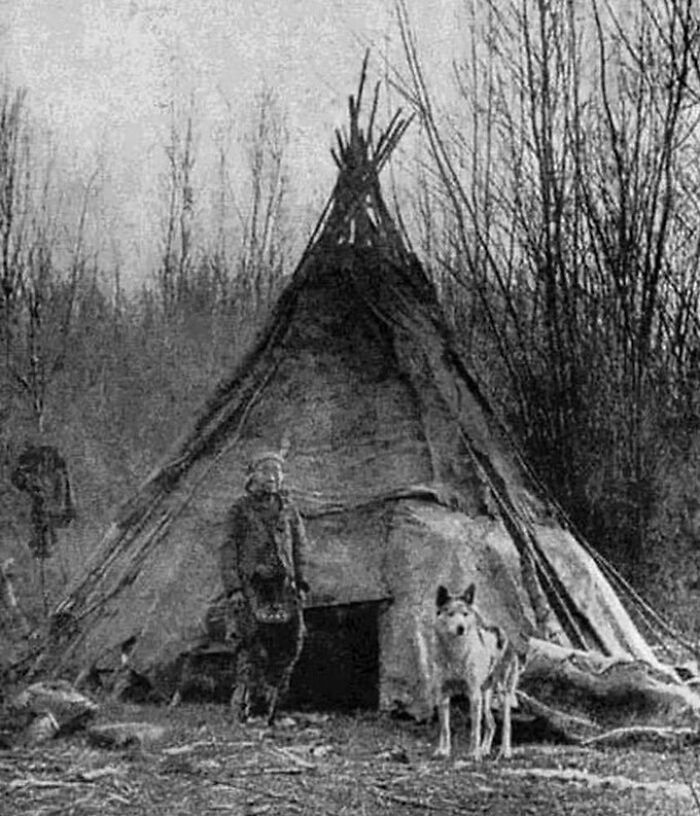 An indigenous person standing near a teepee with a dog, revealing cool history facts.