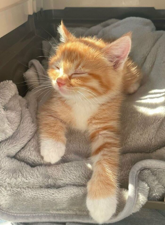 Perfect Sunkissed Photo Doesn't Exi.. 👀