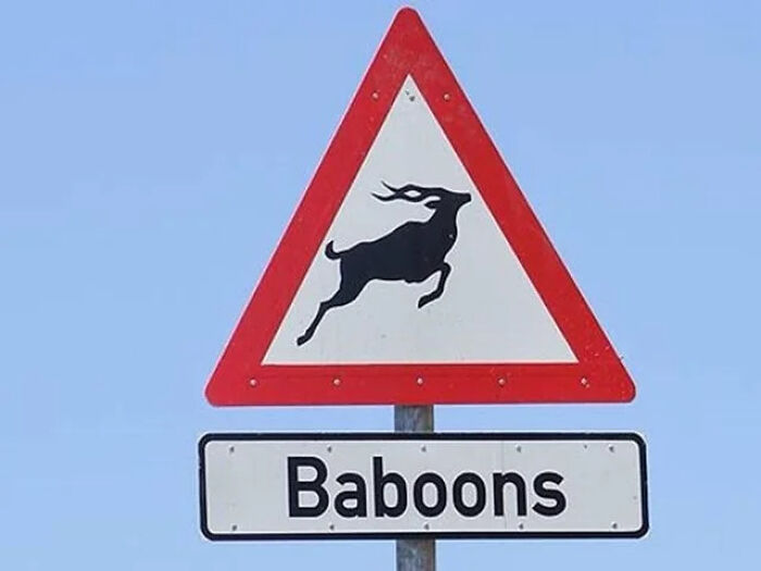 A triangular road sign showing an antelope but labeled Baboons, illustrating signs with funny mistakes