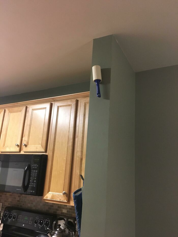 A lint roller stuck high on a wall corner, illustrating husbands funniest quirks.