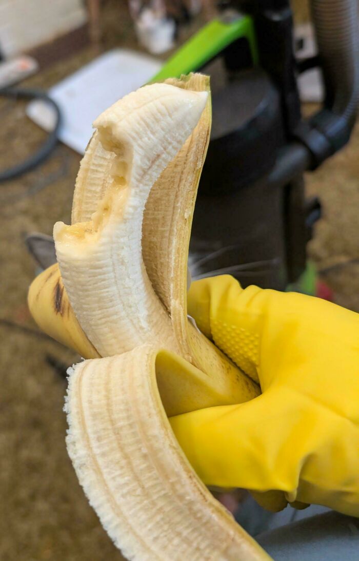 Husband funniest quirk of eating a banana from the middle while wearing a yellow glove.