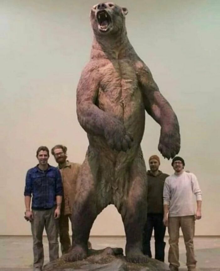 Huge giant short-faced bear specimen standing next to four men, illustrating weird facts about the past.