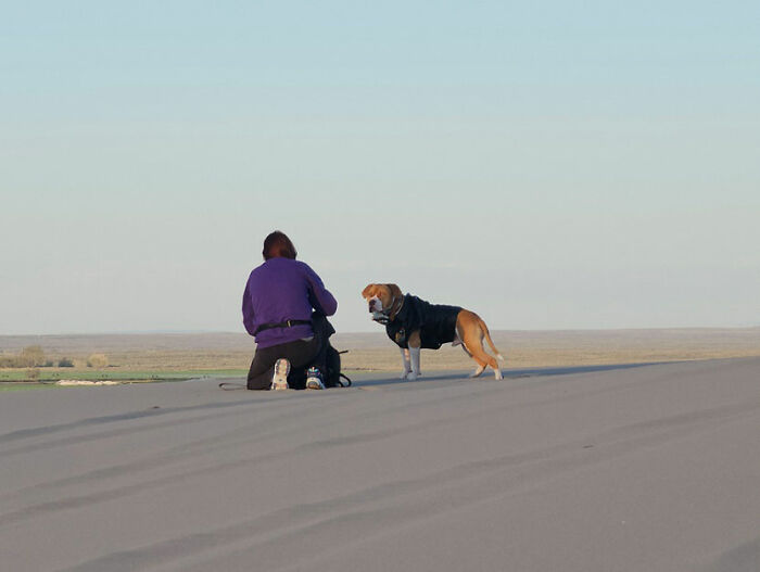 A photographer kneeling on a sand dune taking a picture of a dog during a Mad Max photoshoot.