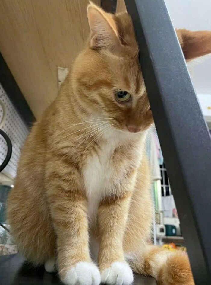Who Broke His Heart? 😢