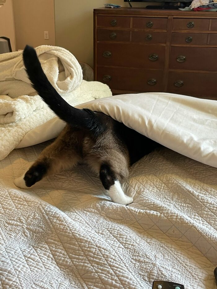 This Is Luna