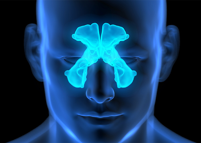 “Is Picking Your Nose Actually Bad For You? Human Anatomy Reveals A Surprisingly Nuanced Answer