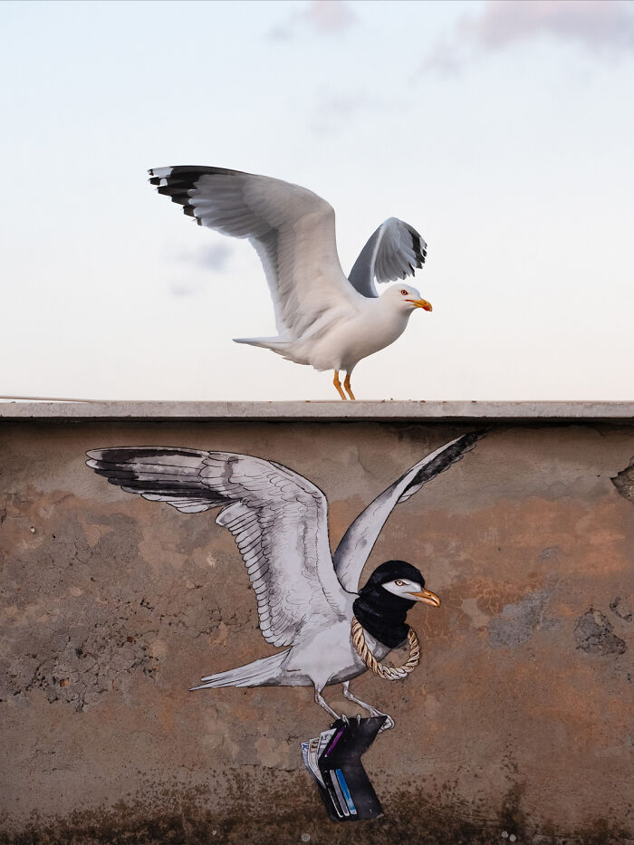 Wildlife photo of a seagull standing above street art of a bird robber on a wall.