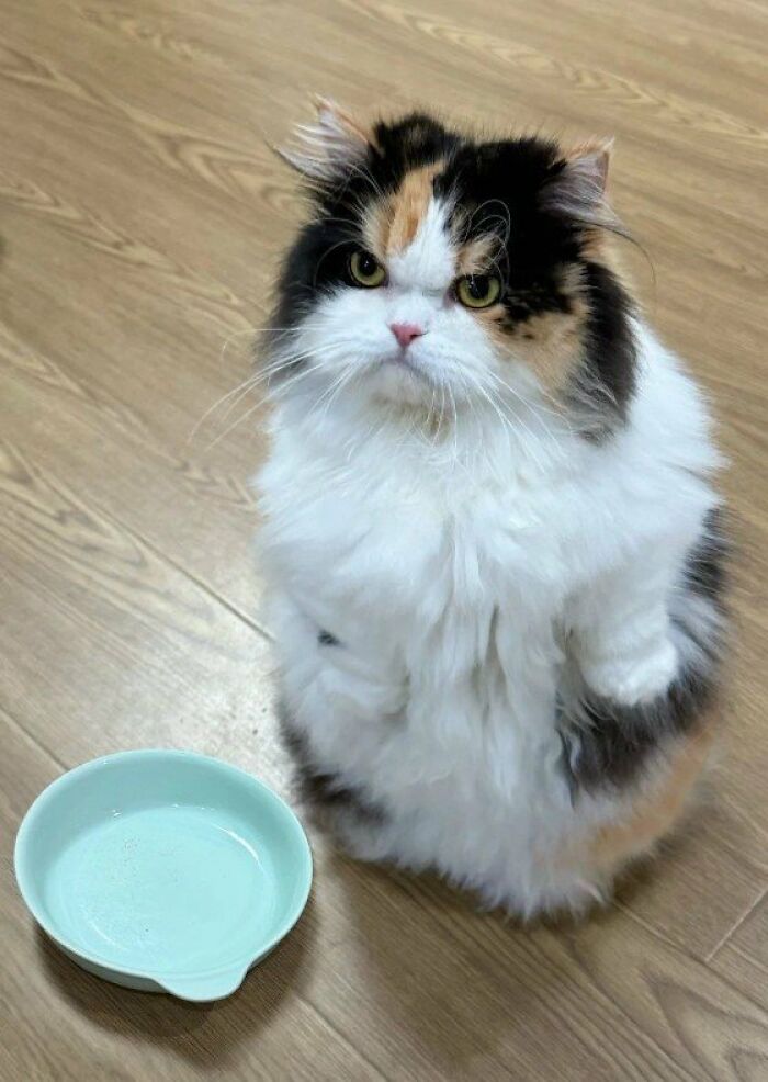 Where Is Food.? 😡