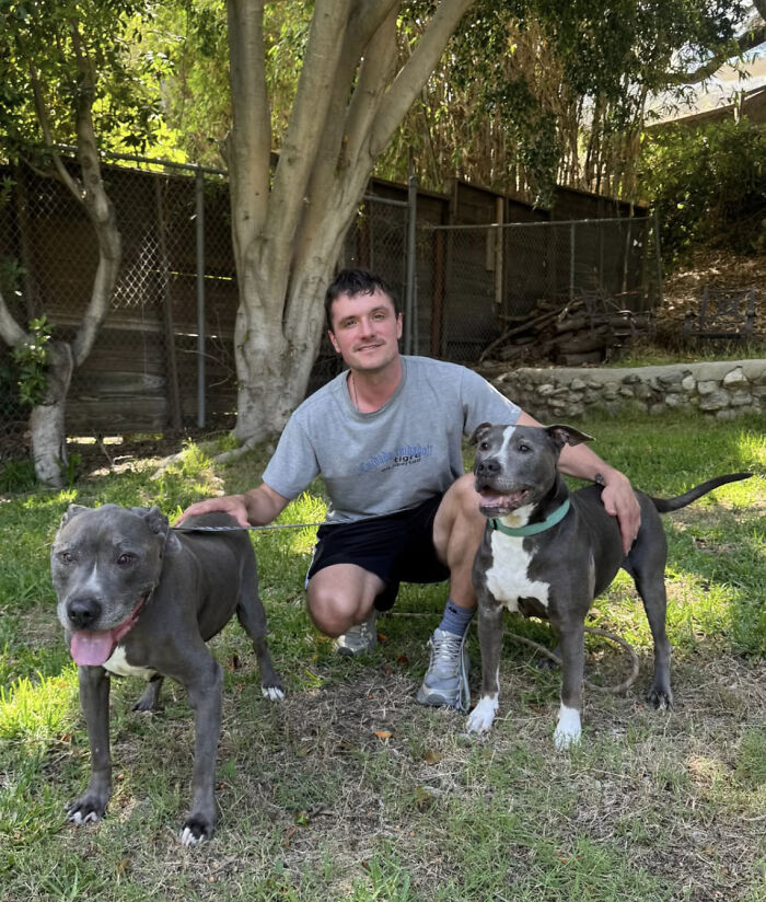 'Hunger Games' Star Josh Hutcherson Shares His Heartwarming Rescue Story to Inspire Dog Adoptions
