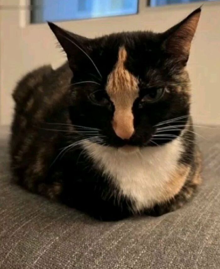 He's Not Mad, It's Just His Face.. 🤣
