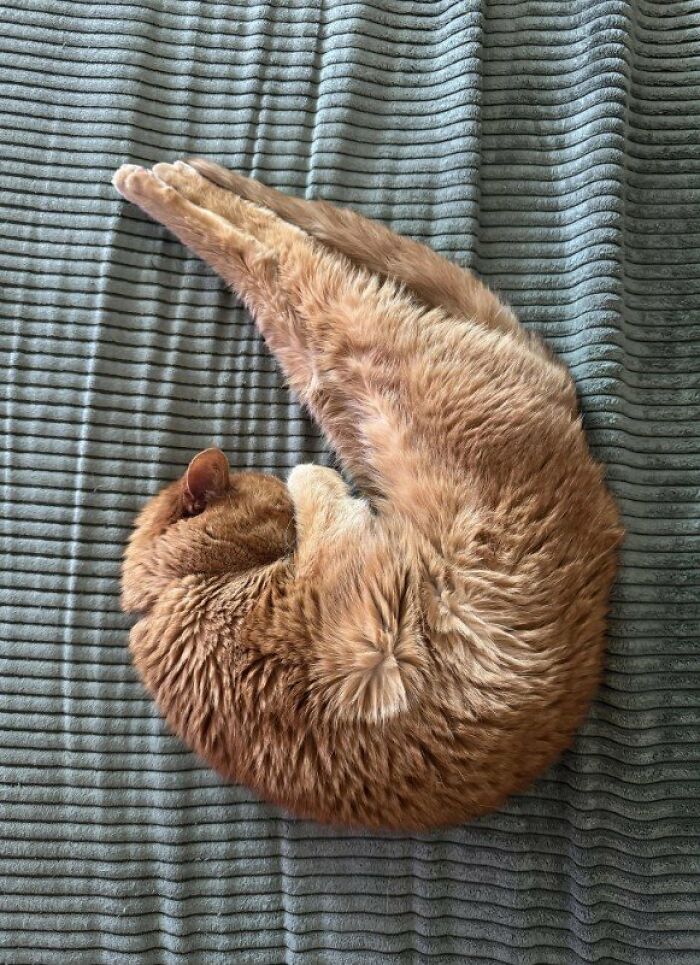 What Is This Move Called.? 🤣