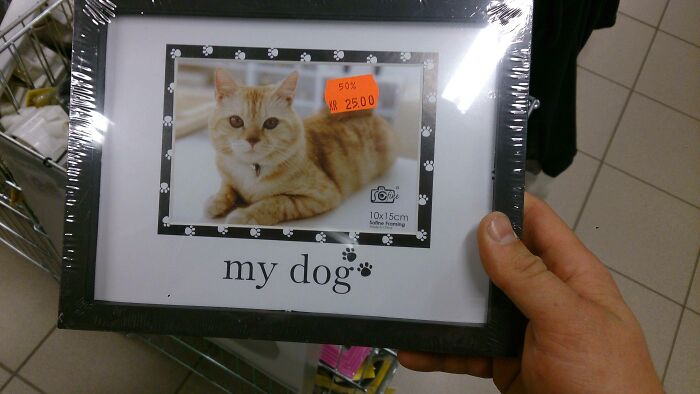 A picture frame labeled my dog showing a cat inside, an example of packaging fails.