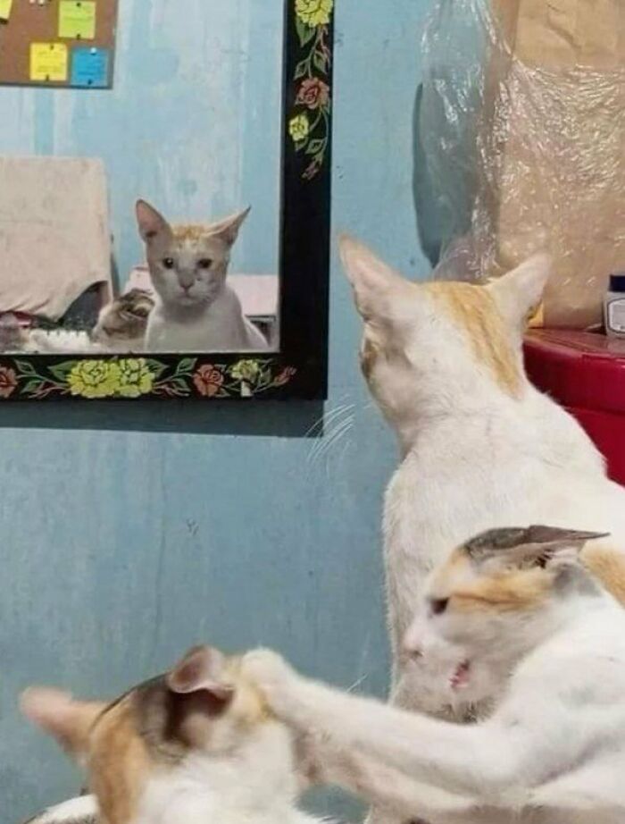 This Is My Life Now.. 🤣
