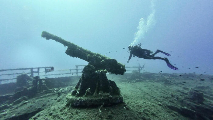 Scuba diver inspecting a military gun on a shipwreck at the bottom of the ocean